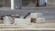 Tester di Tensione Bosch GVD 1000-17