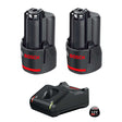 Kit Batterie 12V Bosch 2x2Ah