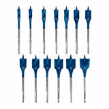 Set di mecchie a spada Bosch Expert SELFCUT 13pz